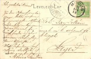 1908 Módos, Jasa Tomic; Közkórház. Hoffmann Béla kiadása 9597. / Allgemeines Krankenhaus / hospital