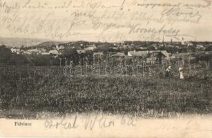 Felvinc, Vintu de Sus, Unirea; szőlőhegy / vineyard  (EK)