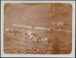1916 A máriavölgyi (Erdély) vágómarha telepre hajtott juhok, hátoldalon feliratozott fotó, 9×12 cm