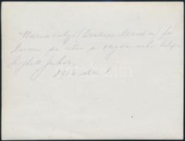 1916 A máriavölgyi (Erdély) vágómarha telepre hajtott juhok, hátoldalon feliratozott fotó, 9×12 cm