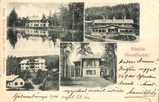 1900 Thurzófüred, Kupele Turzo (Gölnicbánya, Gelnica); Budapest nyaraló, vendéglő, fürdő, Thurzó-ház / villas, spa, restaurant