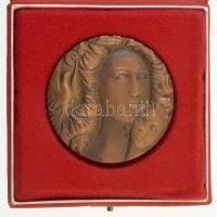 Franciaország 1979. "De la Paix Mondial Mouvement" Br emlékplakett eredeti dísztokban. Szi...