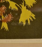 Lunczer Anikó (1942- ): Őszi gyomok. Színes linómetszet, papír, jelzett, 27x36 cm üvegezett keretben...