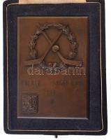 Csehszlovákia 1932. "Palace Sanatorium Cup III / Novy Smokovec" Br emlékplakett eredeti dí...