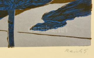 Reich Károly (1922-1988): Éjszaka. Linómetszet, papír, jelzett. 38x25 cm üvegezett keretben,