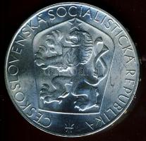 Csehszlovákia 1965. 25K Ag "Felszabadulás 20. évfordulója" T:1/2