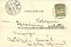 1903 Budapest II. Szent Lukács fürdő. Divald Károly 190. sz