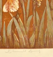 Németh András (1941-): Íriszek. Színes linó, papír, jelzett, 28x42 cm üvegezett keretben