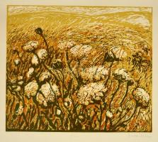 Somlai Vilma (1938-2007): Mező, színes linó, papír, jelzett, 30×35 cm