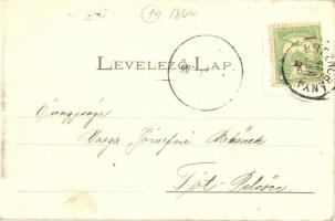 1905 Breznóbánya, Brezno nad Hronom; látkép, templomok. Fried Ármin kiadása / general view, churches...