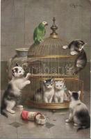 Cats with bird cage and parrot. TSN Serie 1432. s: Reichert