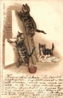1899 Wallpapering cats. Lith-Artist. Anstalt München (vorm. Gebrüder Obpacher) Serie 51. No. 18422. litho (Rb)