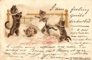 1902 Cats in a pillow fight. Raphael Tuck & Sons Write away Postcard Series 42. litho (EK)