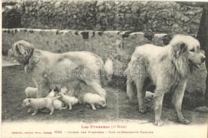 17 db régi és modern kutya motívumlap, közte 6 régi és ebből 3 fotó / 17 pre-1945 and modern dog mot...