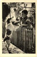 17 db régi és modern kutya motívumlap, közte 6 régi és ebből 3 fotó / 17 pre-1945 and modern dog mot...