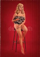 10 db modern erotikus hölgyek képeslap / 10 modern erotic ladies postcards