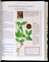 A természet füvészkertje. Szerk.: Dibás Gabriella. Bp., 2008, Reader's Digest. Kiadói kartonált...