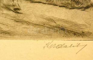 Olvashatatlan jelzéssel: Csikós. Rézkarc, papír, jelzett, üvegezett keretben, 28,5×27,5 cm