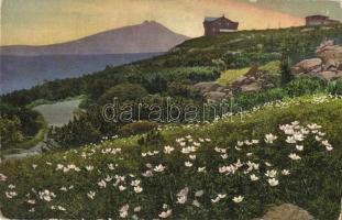 58 db régi külföldi városképes lap / 58 pre-1945 European and Worldwide town-view postcards