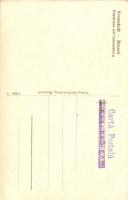 Brassó, Kronstadt, Brasov; Postwiese mit Schlossberg / látkép, villa. Kiadja Hiemesch / general view...