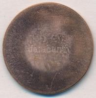 ifj. Szlávics László (1959-) DN "Zrínyi Miklós" egyoldalas Cu emlékérem (39mm) T:1-