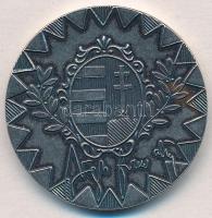 DN "Magyar Honvédség Parancsnoka, Vezérkari Főnök" ezüstpatinázott fém emlékérem (38mm) T:...