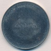 DN "Magyar Légierő - Hungarian Air Force - Légterünket védelmezzük - Veszprém" ezüstpatiná...