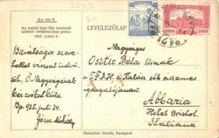 1923 Erdélyi hant fölé emelendő túloldali emlékmű-alap javára, Istók János turul szobor terve. Hents...