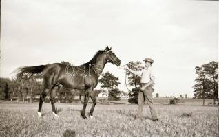 1967 Kerteskő, Kotnyek Antal (1921-1990) budapesti fotóriporter felvételei, a legendás hírű telivérr...