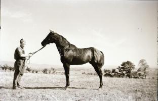 1967 Kerteskő, Kotnyek Antal (1921-1990) budapesti fotóriporter felvételei, a legendás hírű telivérr...
