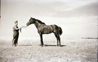 1967 Kerteskő, Kotnyek Antal (1921-1990) budapesti fotóriporter felvételei, a legendás hírű telivérr...