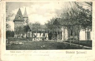1903 Palics, Palic; fürdő, villa. Kiadja Heumann Mór / spa, villa (fa)