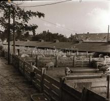 cca 1969 Budapest, X. ker., Kőbánya, városképek, épületfotók, látképek a város múltjáról, fejlődésér...
