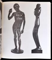 Szabó Júlia: A magyar aktivizmus művészete. 1915-1927. Bp.,1981, Corvina. Kiadói egészvászon-kötés, ...