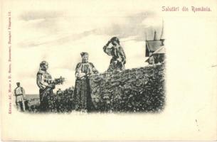 Salutari din Romania. Editura Ad. Maier & D. Stern / Romanian folklore, girls in traditional costumes (EK)