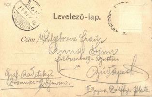 1899 Lippa, Lipova; Solimoser Schlossruine, Lippa und der Marosfluss, Mária-Radna mit der Kirche / S...