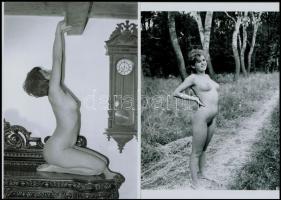 cca 1989 Vegyes válogatás, szolidan erotikus felvételek, 6 db vintage negatív, + 9 db vintage fotó é...