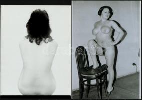 cca 1981 Modellbemutató, szolidan erotikus felvételek, 7 db vintage negatív, + 7 db vintage fotó és/...