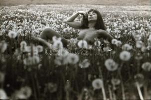 cca 1973 Mezei történet, szolidan erotikus felvételek, 21 db vintage negatív, 24x36 mm