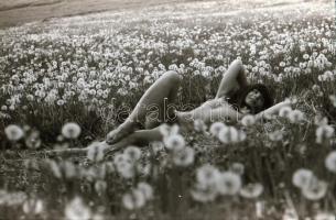 cca 1973 Mezei történet, szolidan erotikus felvételek, 21 db vintage negatív, 24x36 mm