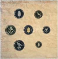 2005. 1Ft-100Ft (7xklf) forgalmi sor szettben + 2005. 10Ft "József Attila" T:PP
Adamo FO3...