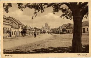 Párkány, Stúrovó; utca, gyógyszertár / street, pharmacy