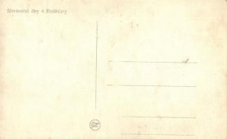 1919 Pozsony, Pressburg, Bratislava; Csehszlovák légió felvonulása és ünnepély / Slavnostny dny / pa...