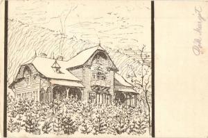 1914 Ligotka, Ellguth; forest villa (EK)