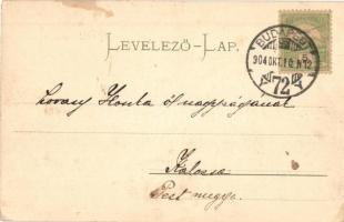 1904 Budapest XIV. Városligeti tó híddal. Taussig Arthur 3166. (EK)