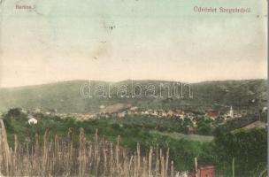 1909 Szekszárd, Bartina. Kiadja Fischhof Mór (EB)