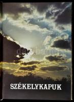 Olasz Ferenc: Székelykapuk. Bp., 1989, Hunnia Filmstúdió Vállalat. Kiadói egészvászon-kötésben, kiad...