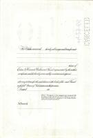 USA 1920-as évektől 1970-es évekig 18klf dekoratív értékpapír többségében nagyon jó állapotban!