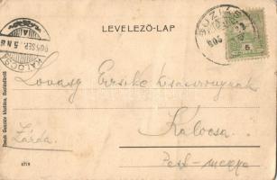 1905 Buziásfürdő, Baile Buzias; Park. Kiadja Nosek Gusztáv / park (apró szakadás / tiny tear)