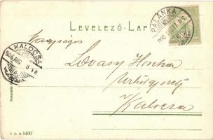 1906 Palánka, Bácska-Palánka, Backa Palanka; Kaszinó, Duna part, kilátás Újlakra. Kiadja Steimnitz S...